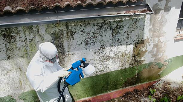 Top rated local Mold Remediation specialists in Colts Neck, NJ